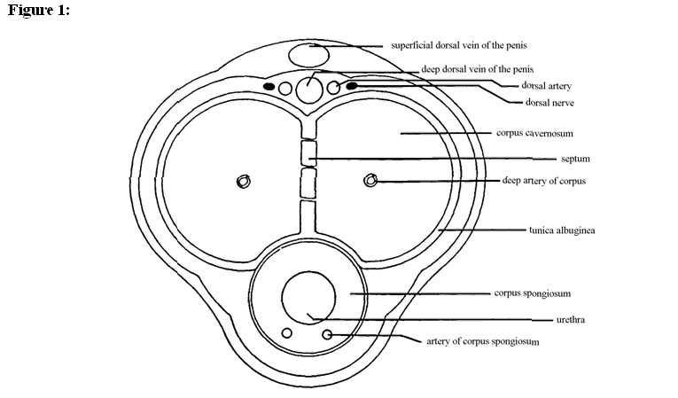 Figure  1