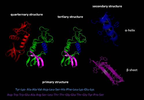 Diagram

Description automatically generated