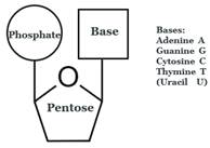 Diagram

Description automatically generated with medium confidence