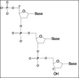 A diagram of a chemical structure

Description automatically generated