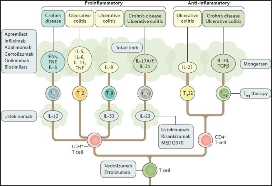 A diagram of a cell line

Description automatically generated with medium confidence