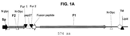 A close-up of a pen

Description automatically generated