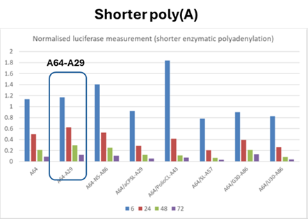 A screenshot of a graph

Description automatically generated