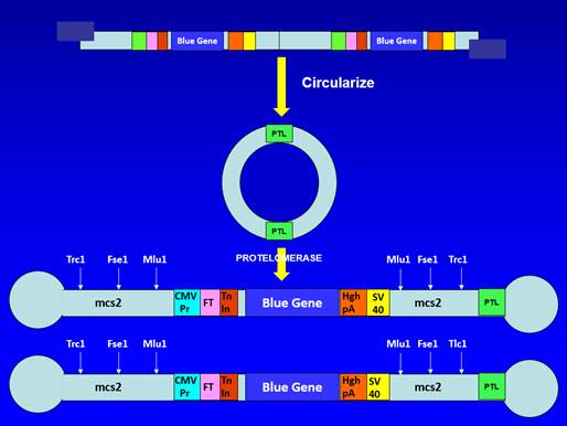 A blue screen with a diagram of a circular structure

Description automatically generated with medium confidence