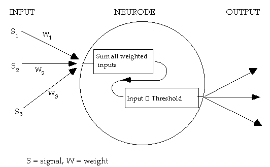 Basic neurode structure